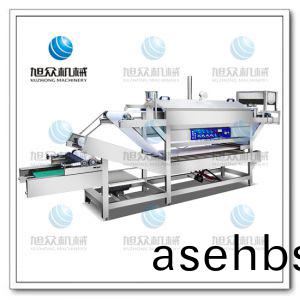 新款高效(xiao)节能(neng)河粉(fen)机