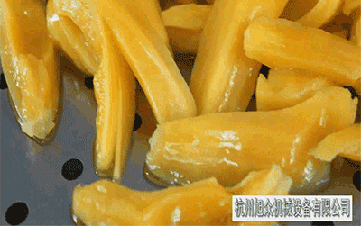 5bfe0fe1f2088.gif 真空油炸机.gif