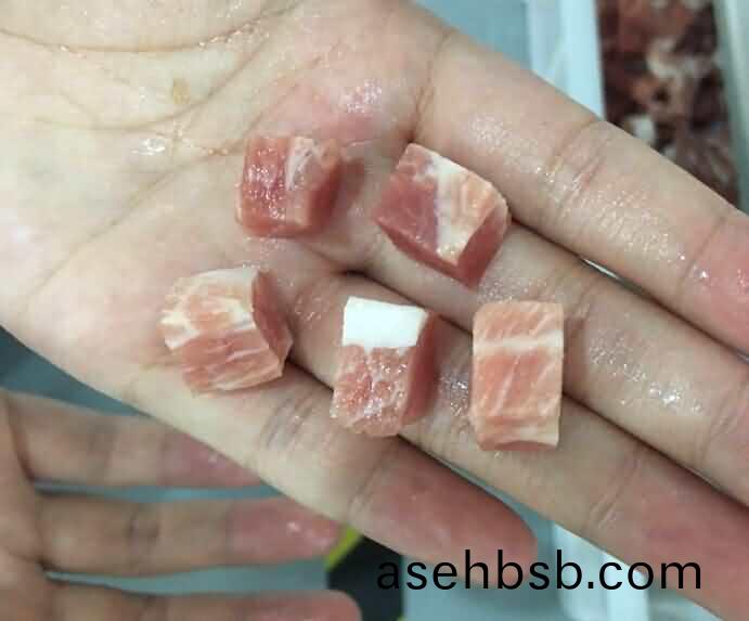 切丁机切冻肉(rou)丁效(xiao)果