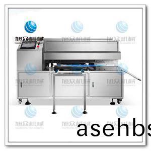 T100月(yue)饼(bing)自(zi)动(dong)排(pai)盘(pan)机