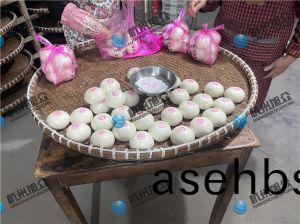 上门调试(shi)包子(zi)机(ji)，老(lao)客户，已(yi)购(gou)买旭(xu)众好几台包(bao)子机(ji)，生意(yi)越做越(yue)大