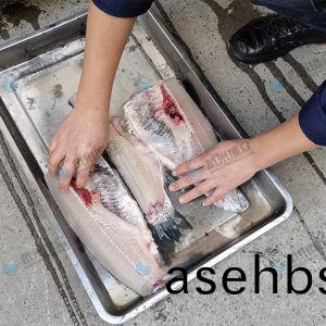 《全(quan)新升(sheng)级(ji)》开片(pian)杀鱼机去鱼骨(gu)机