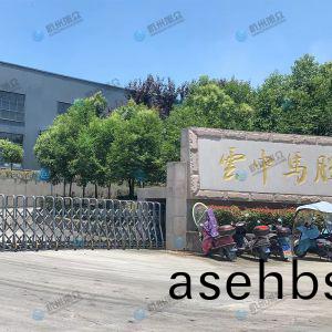 松阳(yang)的(de)客户，调(diao)试(shi)30型(xing)包子机完成！