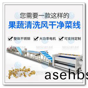 果(guo)蔬气泡(pao)清洗机(ji)风(feng)干(gan)流水线(xian)
