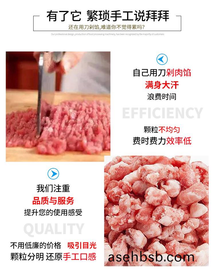 å†»è‚‰ç»žè‚‰æœºè¯¦æƒ…_02.jpg