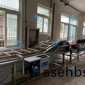 果蔬气泡(pao)清洗机(ji)风干流水线(xian)多少(shao)钱(qian)？