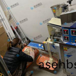 仿(fang)手(shou)工(gong)包(bao)饺子(zi)机(ji)省时省力(li)开店神器！