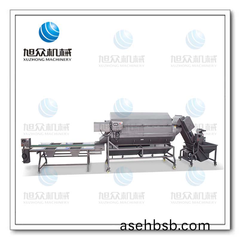 åœŸè±†ç£¨çš®åˆ†æ‹£æ¸…æ´—çº¿