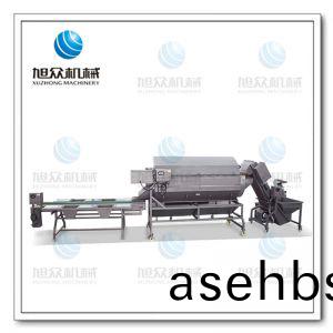 土豆磨(mo)皮(pi)分(fen)拣清(qing)洗(xi)线