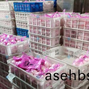 XZ-86包(bao)子机(ji)改光(guang)刀(dao)做豆沙包